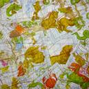 085 Sterne - 3-lagig - Steinbock - CS